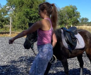 Jahresrückblick 2022 - eine Frau führt ein Pferd über einen Reitplatz