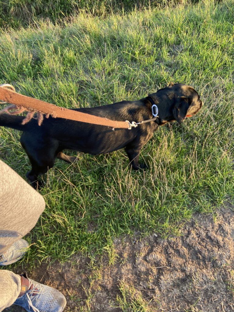 12 von 12 im September 2022