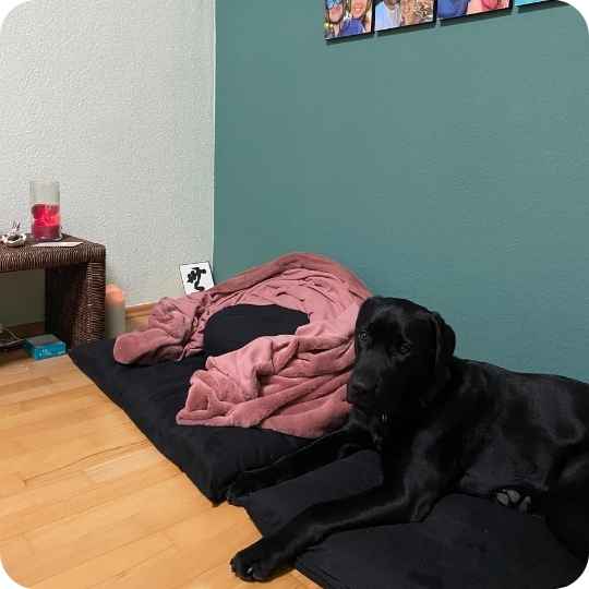Mein gemütlicher Meditationsplatz mit Hund daneben
