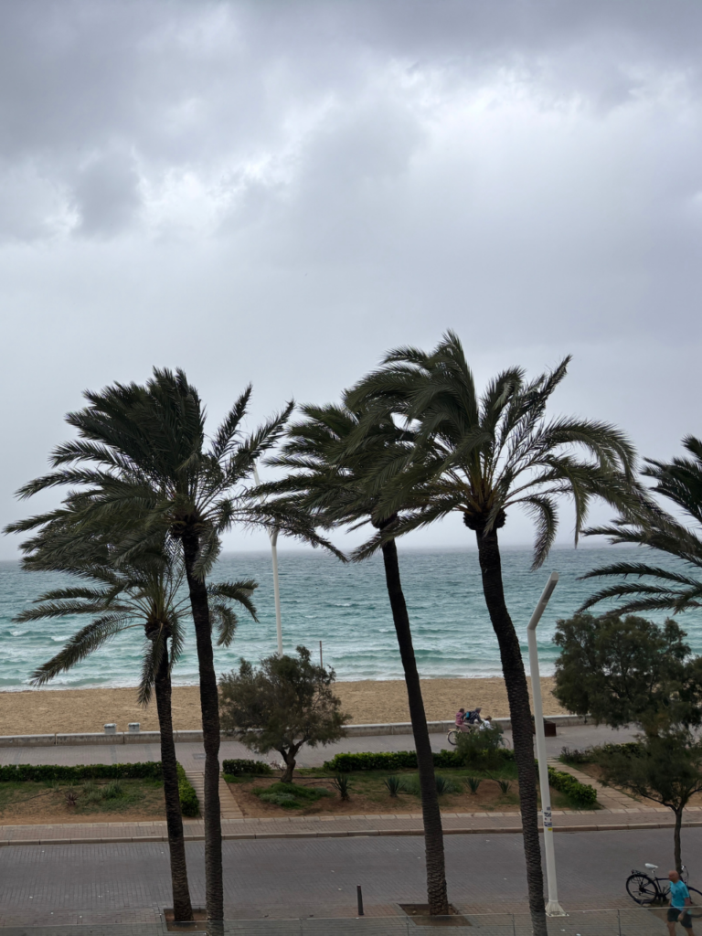 Sturm auf Mallorca
