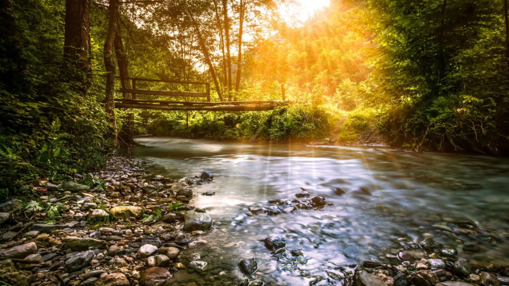 Helfen aus innerer Fülle – Verbindung ohne Selbstaufgabe
