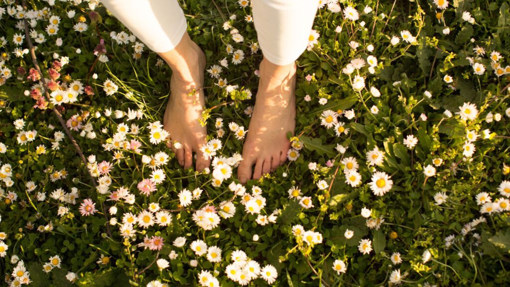 Nervensystem regulieren durch Körperwahrnehmung und Sicherheit